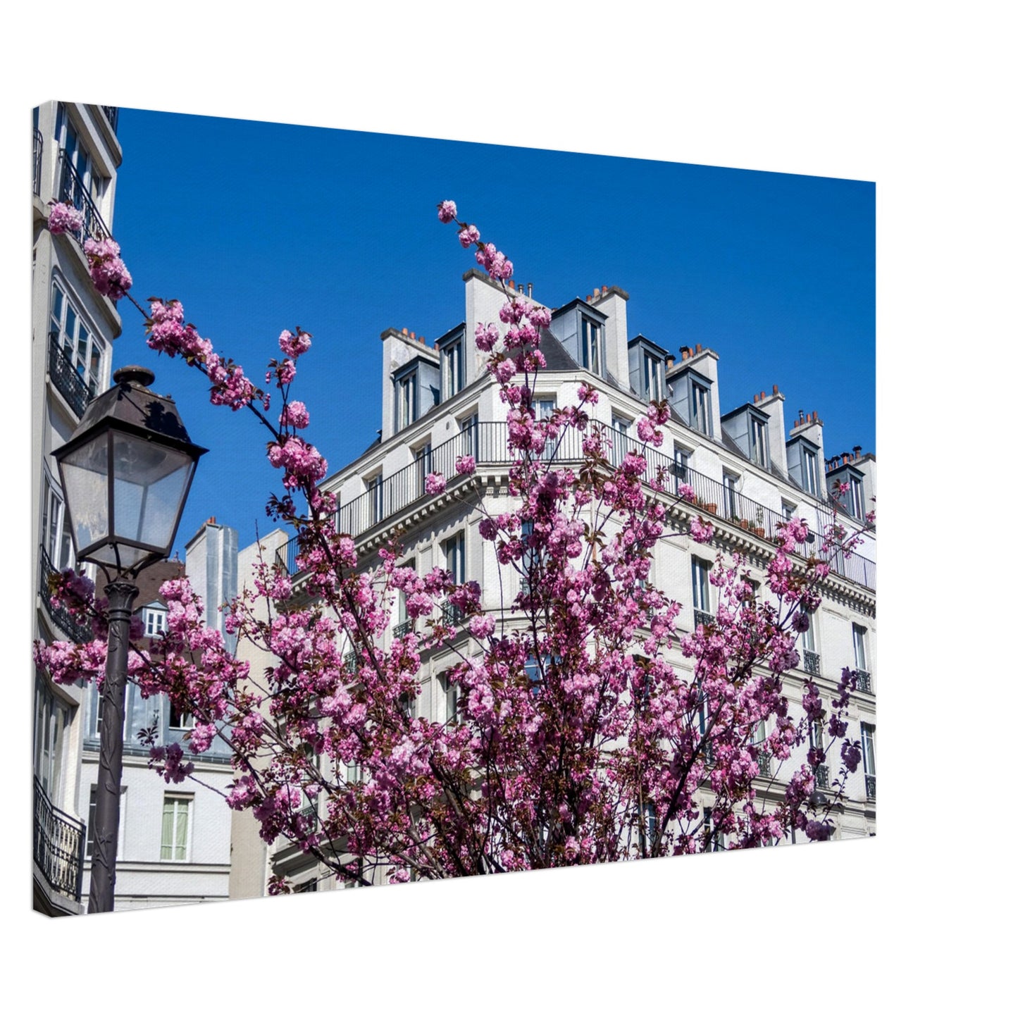 acea4890-9c4e-4fcd-95f9-47b40a9662ea