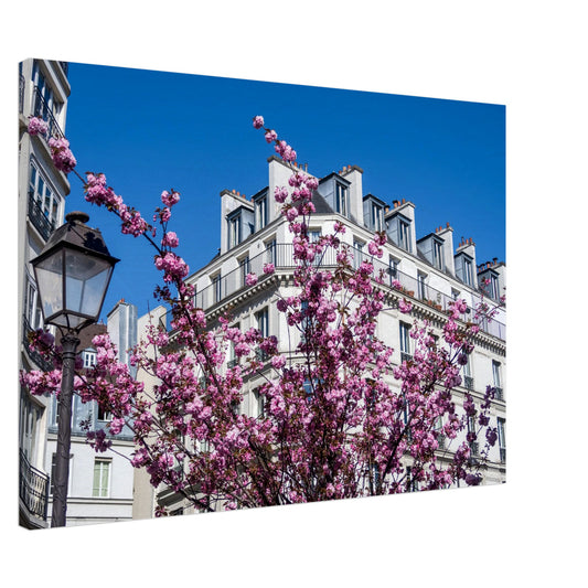 acea4890-9c4e-4fcd-95f9-47b40a9662ea