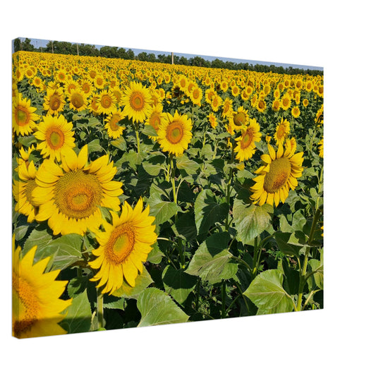 b32c36dc-94fa-4f7e-b195-b4fd408b2ce7