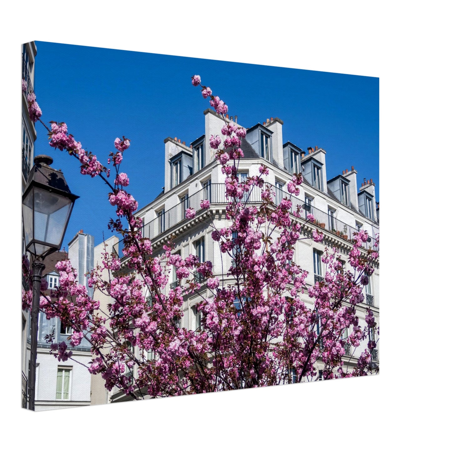 b4a16369-6a71-4b9d-8c69-d9bab3f8e806