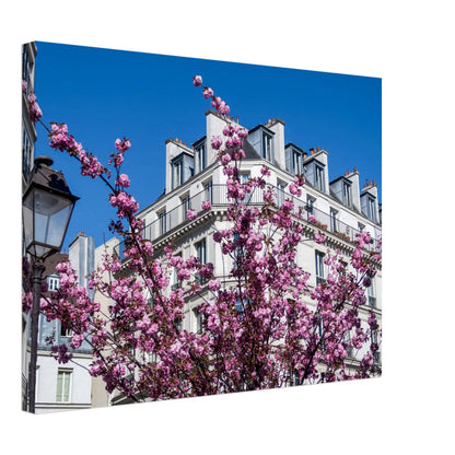 b4a16369-6a71-4b9d-8c69-d9bab3f8e806