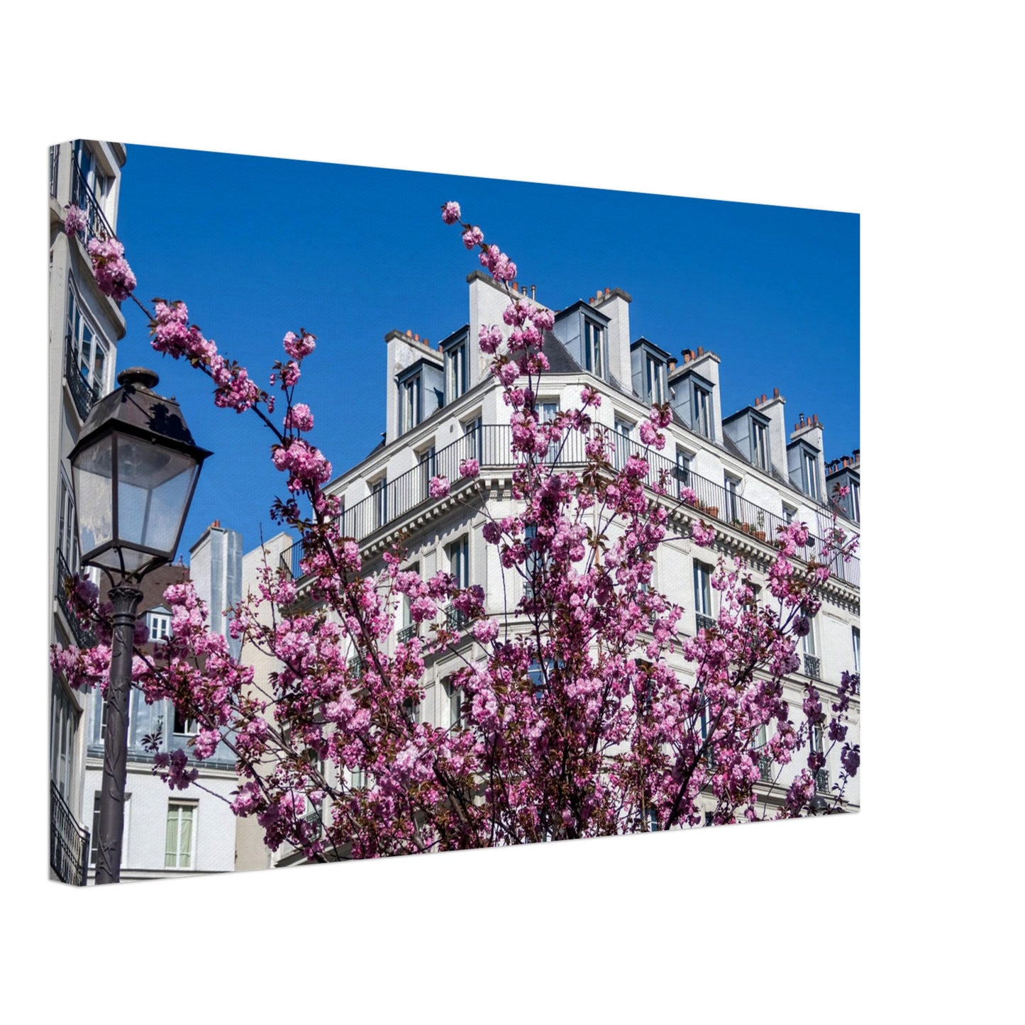 ba2adae1-56d4-4fec-a744-7d911b9de098