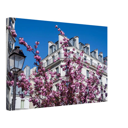 ba2adae1-56d4-4fec-a744-7d911b9de098