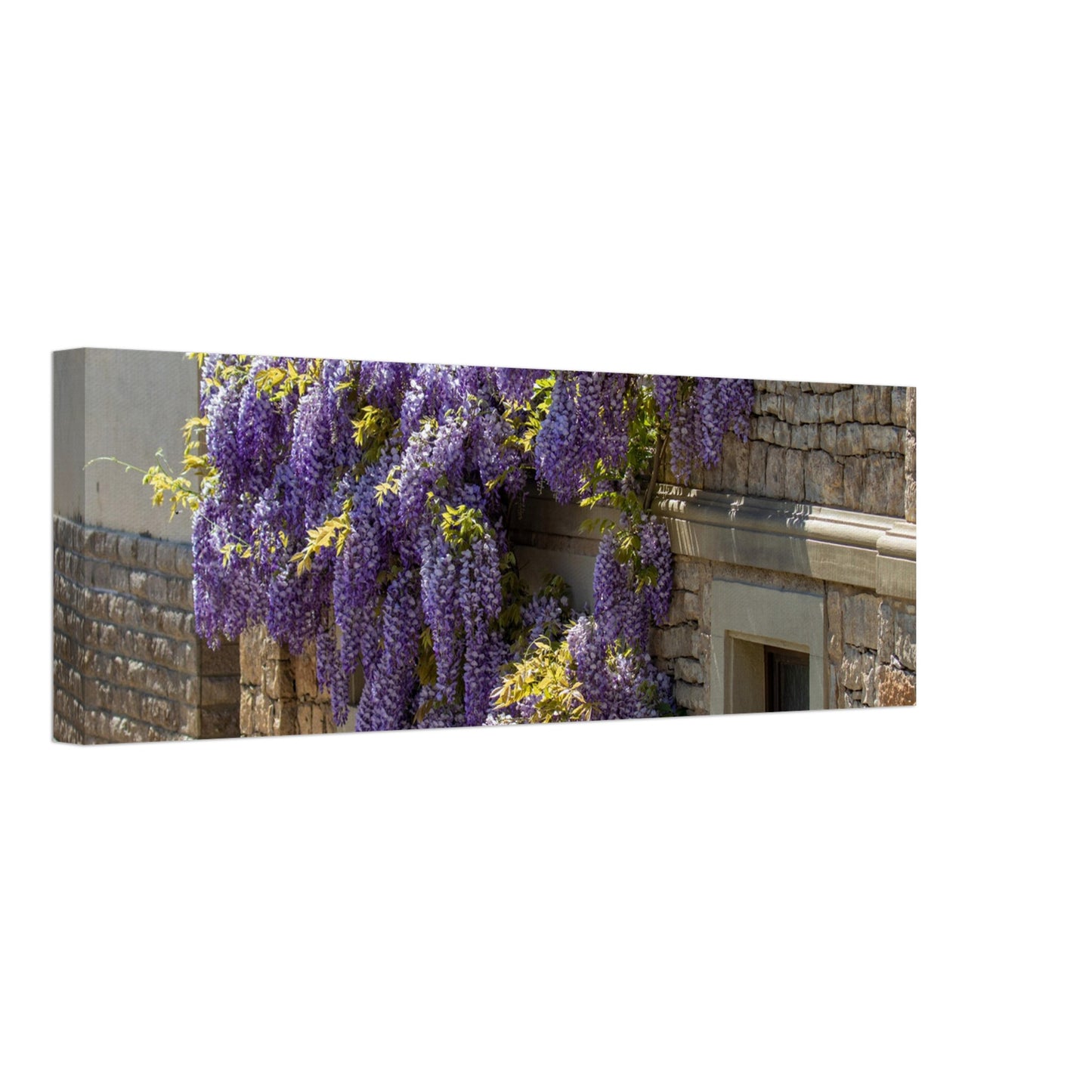 c49d4df0-4fb6-4549-b695-63645d3ef2a6