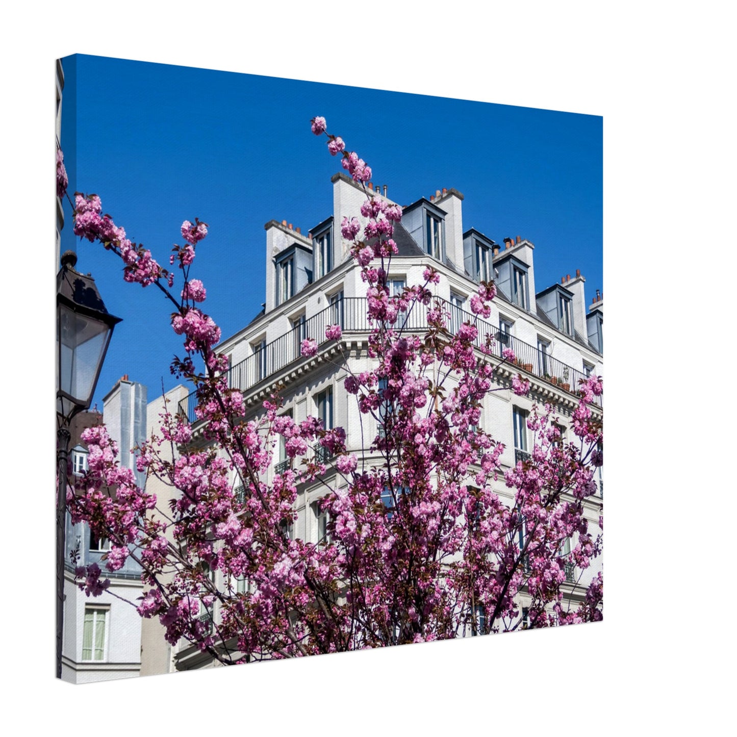 c98c121f-cb23-48f5-9729-0f46a42abd3d