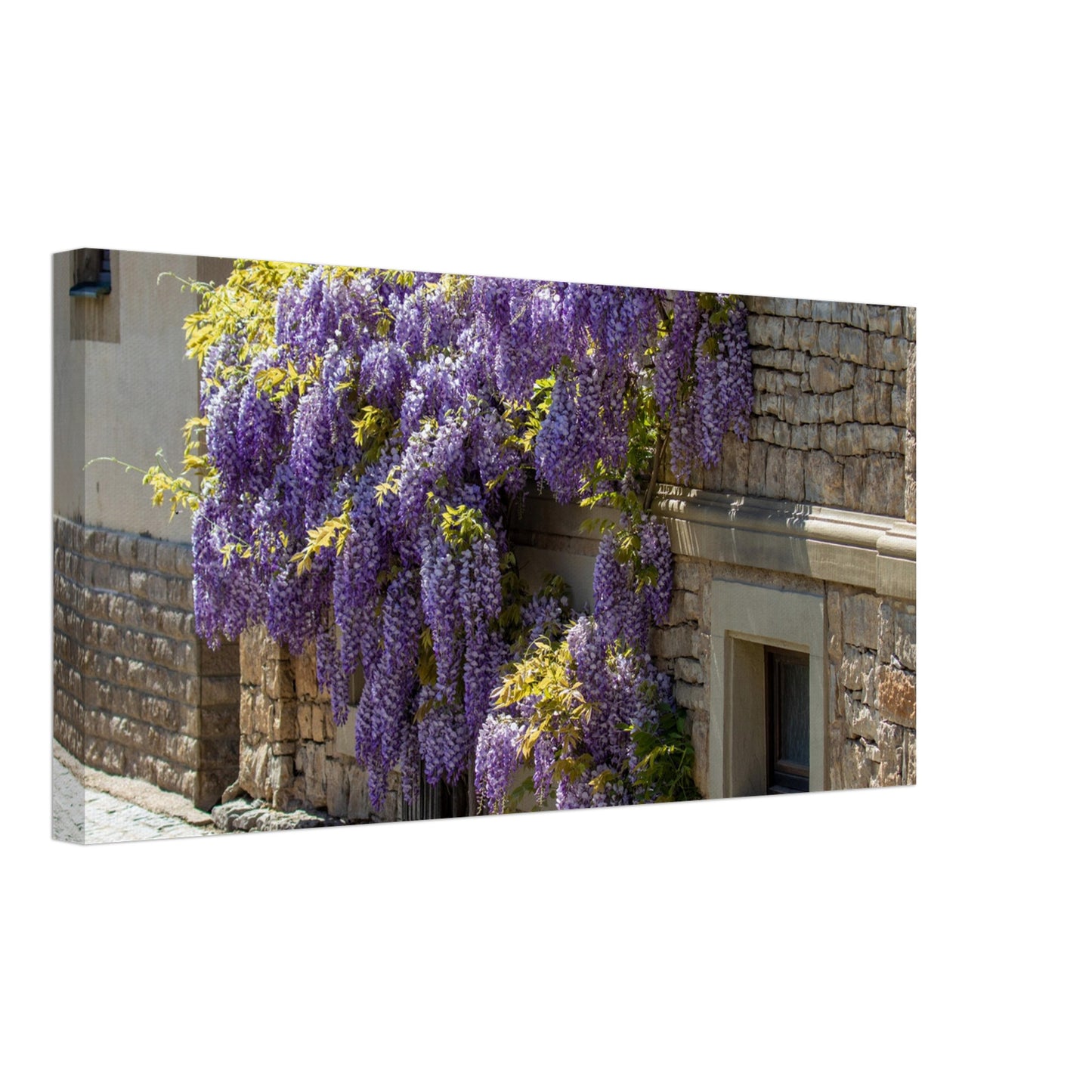 cbe33b05-0976-419a-8485-43cdf54db4ea