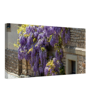 cbe33b05-0976-419a-8485-43cdf54db4ea