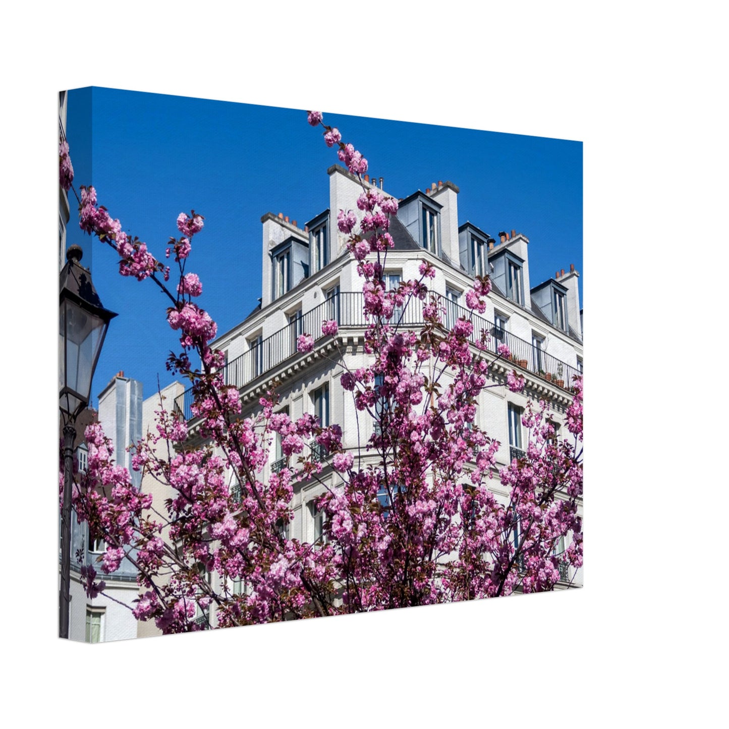 d17eedf3-0b27-477b-9ab6-1183a9071439