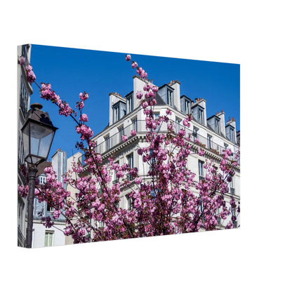 dcef9589-19eb-4d35-8c6d-4c71b5a9d027