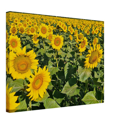 e51ec0f1-5267-4e0a-9096-327559525c08