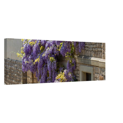 e9f5ac76-f9bb-4fbb-8ed8-3137a876d2d3