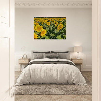 ef941eef-cb59-4dba-8998-6354b75901b1