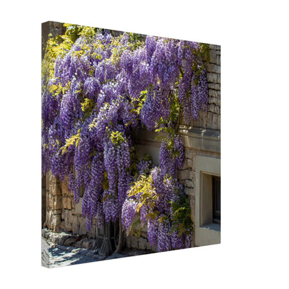 f12306e5-bd12-441b-a995-cdc9a2c0e2ec