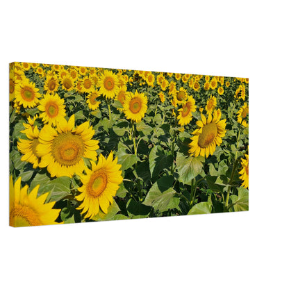 fd1de602-b3ca-4dec-9283-bae6f1808cdc