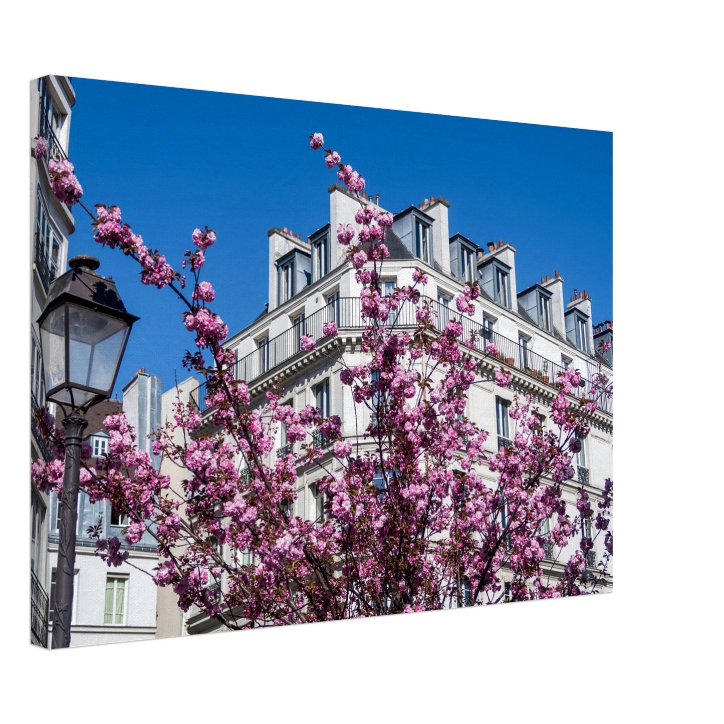 ff3177de-964c-4a87-b65f-97e9e5f2a5cb