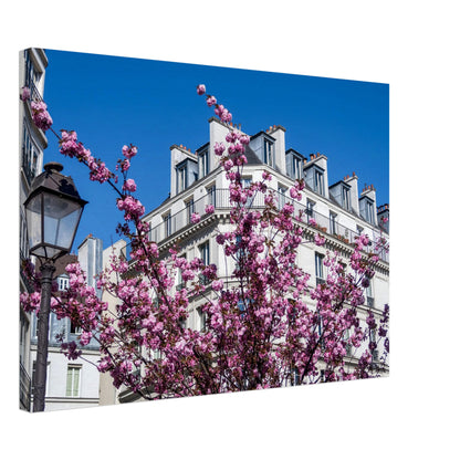 ff3177de-964c-4a87-b65f-97e9e5f2a5cb